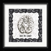 Arsenic and Anatomy III Framed Print