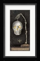 Apothecary Noir VII Fine Art Print