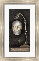 Apothecary Noir VII Fine Art Print