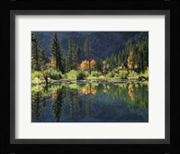 Autumn Colors Of Aspen Trees Reflecting In A Beaver Pond Fine Art Print