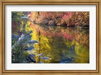 Deep Fall Colors, Wenatchee River, Washington State Fine Art Print