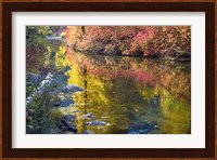 Deep Fall Colors, Wenatchee River, Washington State Fine Art Print