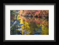 Deep Fall Colors, Wenatchee River, Washington State Fine Art Print