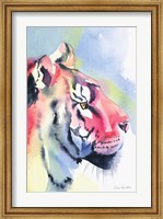 Tiger Portrait Fine Art Print