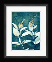 Shower of Gold IV Framed Print