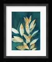 Shower of Gold III Framed Print