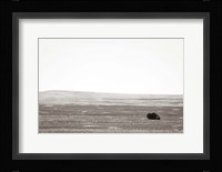 Badlands Guard Fine Art Print