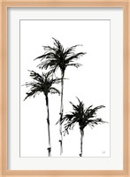 Dark Palms II Fine Art Print