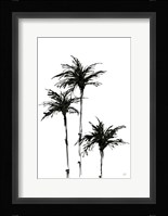 Dark Palms II Framed Print