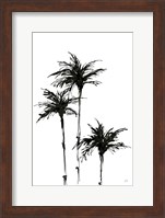 Dark Palms II Fine Art Print