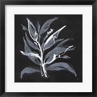 Chalkboard Branch II Framed Print