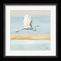 Flight Blue Sky Framed Print