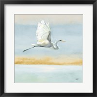 Flight Blue Sky Framed Print