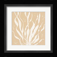 Seaside Style IV Framed Print