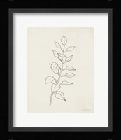 August Branch I Framed Print