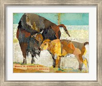 Bison and Baby Fine Art Print