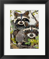 Raccoons Fine Art Print