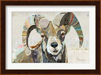 Wild Bighorn Sheep Fine Art Print