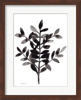 Botanical with Nagi Fern No. 3 Fine Art Print