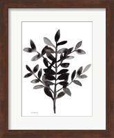 Botanical with Nagi Fern No. 3 Fine Art Print