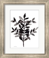 Botanical with Nagi Fern No. 3 Fine Art Print