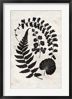Botanica 2 Fine Art Print