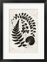 Botanica 2 Framed Print