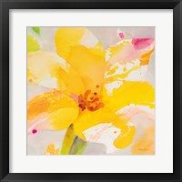 Bright Tulips III Framed Print