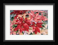 Poinsettia Fine Art Print