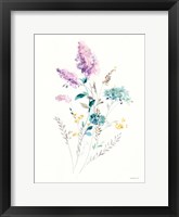 Lilac Season II Framed Print