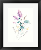 Lilac Season II Framed Print