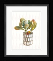 Desert Greenhouse XIV Framed Print