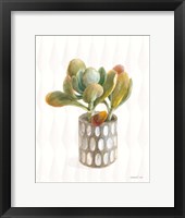 Desert Greenhouse XIV Framed Print