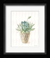 Desert Greenhouse XV Framed Print
