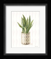 Desert Greenhouse XVI Fine Art Print