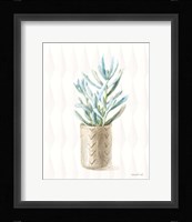 Desert Greenhouse XVII Framed Print