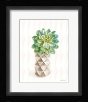 Desert Greenhouse XVIII Framed Print