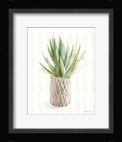 Desert Greenhouse XIX Framed Print