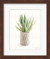 Desert Greenhouse XIX Fine Art Print