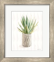 Desert Greenhouse XIX Fine Art Print