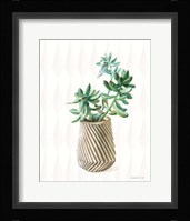 Desert Greenhouse X Subtle Framed Print