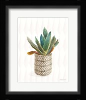 Desert Greenhouse XIII Subtle Fine Art Print