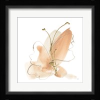 Butterfly Flower II Fine Art Print