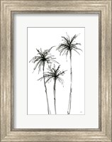 Shadow Palms IV Fine Art Print