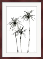 Shadow Palms IV Fine Art Print
