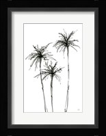 Shadow Palms IV Framed Print