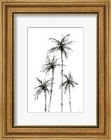 Shadow Palms III Fine Art Print