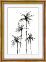 Shadow Palms III Fine Art Print