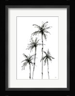 Shadow Palms III Framed Print