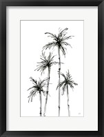 Shadow Palms III Framed Print